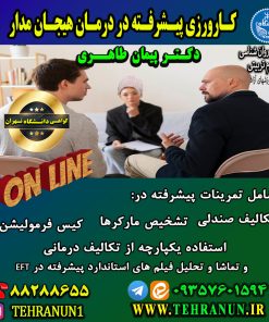 فیلم کارورزی  پیشرفته تربیت درمانگر هیجان مدار فرد محور