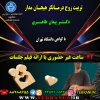 قسط اول دوره تربیت زوج درمانگر هیجان مدار 1404