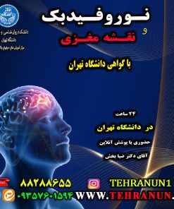 قسط اول نورفیدبک و نقشه مغزی