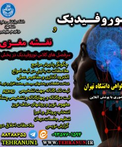 Alternative view of فیلم نورفیدبک و نقشه مغزی