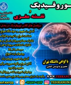 فیلم نورفیدبک و نقشه مغزی